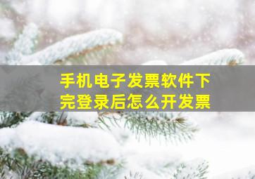 手机电子发票软件下完登录后怎么开发票