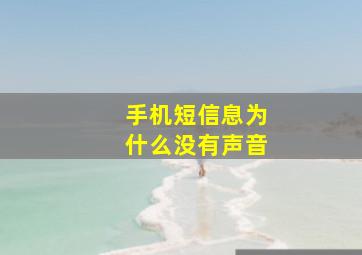 手机短信息为什么没有声音