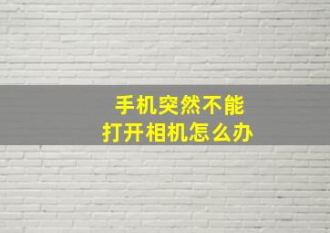 手机突然不能打开相机怎么办