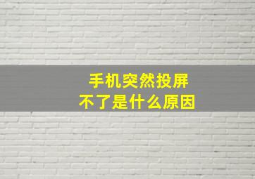 手机突然投屏不了是什么原因