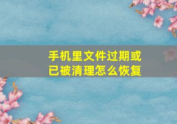 手机里文件过期或已被清理怎么恢复