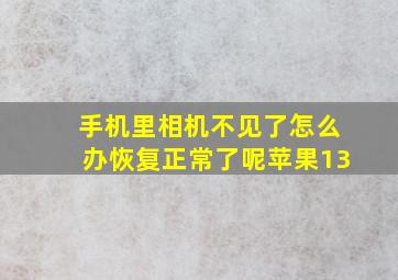 手机里相机不见了怎么办恢复正常了呢苹果13