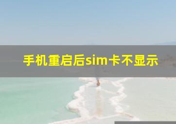 手机重启后sim卡不显示