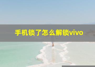 手机锁了怎么解锁vivo