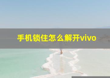 手机锁住怎么解开vivo