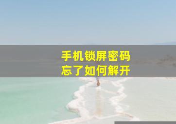 手机锁屏密码忘了如何解开