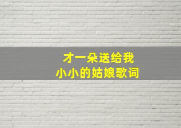 才一朵送给我小小的姑娘歌词