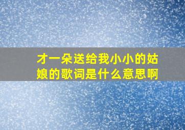 才一朵送给我小小的姑娘的歌词是什么意思啊