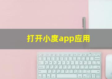 打开小度app应用