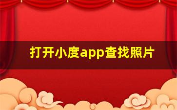 打开小度app查找照片