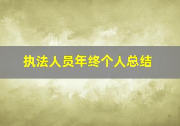 执法人员年终个人总结