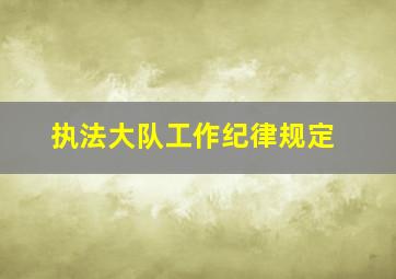 执法大队工作纪律规定