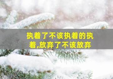 执着了不该执着的执着,放弃了不该放弃