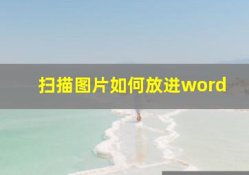 扫描图片如何放进word