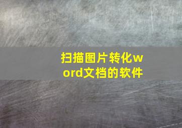 扫描图片转化word文档的软件