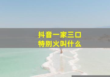 抖音一家三口特别火叫什么