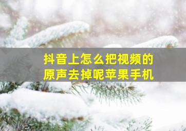 抖音上怎么把视频的原声去掉呢苹果手机