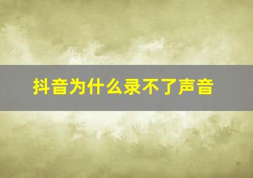 抖音为什么录不了声音