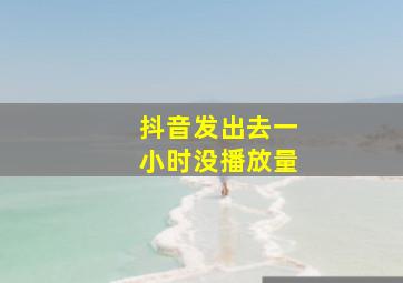 抖音发出去一小时没播放量