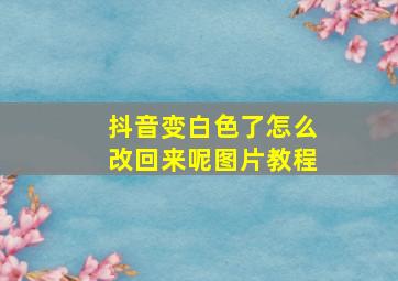 抖音变白色了怎么改回来呢图片教程