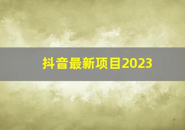 抖音最新项目2023