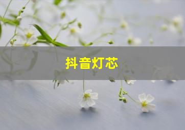 抖音灯芯