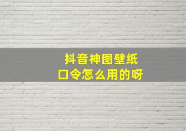 抖音神图壁纸口令怎么用的呀