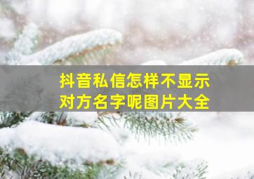 抖音私信怎样不显示对方名字呢图片大全