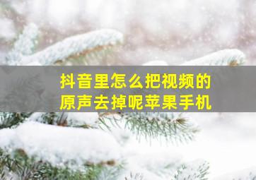 抖音里怎么把视频的原声去掉呢苹果手机