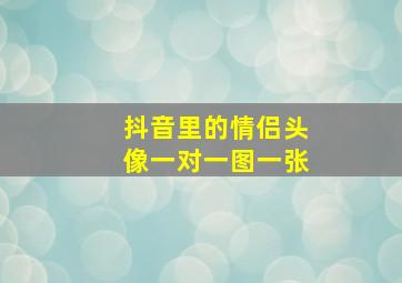 抖音里的情侣头像一对一图一张