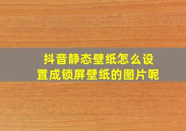 抖音静态壁纸怎么设置成锁屏壁纸的图片呢