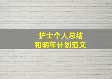 护士个人总结和明年计划范文