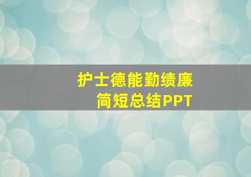 护士德能勤绩廉简短总结PPT