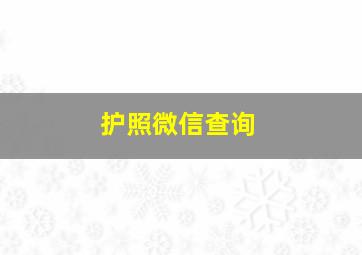 护照微信查询