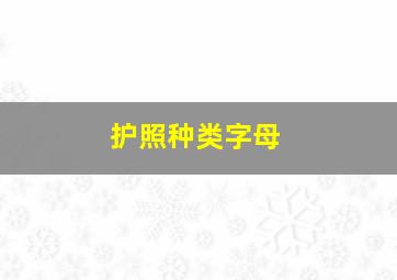 护照种类字母