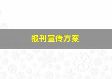 报刊宣传方案