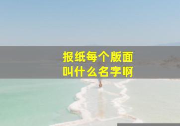 报纸每个版面叫什么名字啊