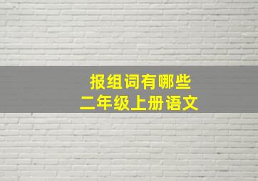 报组词有哪些二年级上册语文