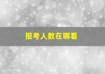 报考人数在哪看