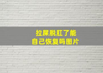 拉屎脱肛了能自己恢复吗图片