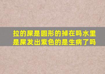 拉的屎是圆形的掉在吗水里是屎发出紫色的是生病了吗