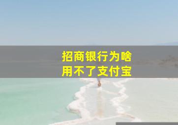 招商银行为啥用不了支付宝