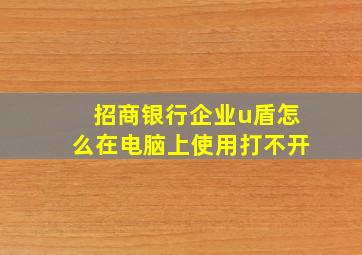 招商银行企业u盾怎么在电脑上使用打不开