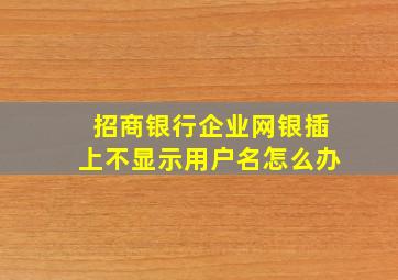 招商银行企业网银插上不显示用户名怎么办