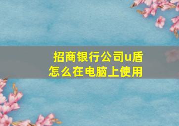 招商银行公司u盾怎么在电脑上使用