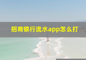 招商银行流水app怎么打