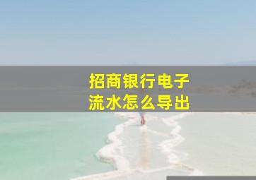 招商银行电子流水怎么导出