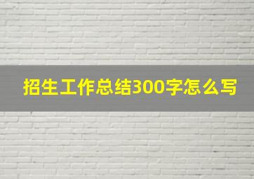 招生工作总结300字怎么写