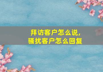 拜访客户怎么说,骚扰客户怎么回复