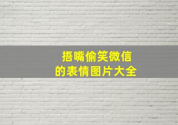 捂嘴偷笑微信的表情图片大全